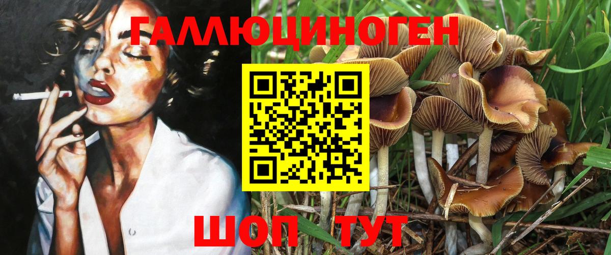 Псилоцибиновые грибы прущие грибы Кандалакша